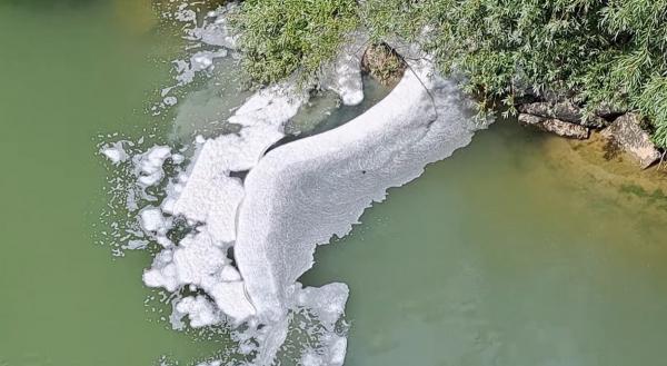 Fenomen neobișnuit pe râul Siret. Garda de Mediu: "Aşteptăm rezultatul analizei şi vom şti ce anume s-a întâmplat acolo"