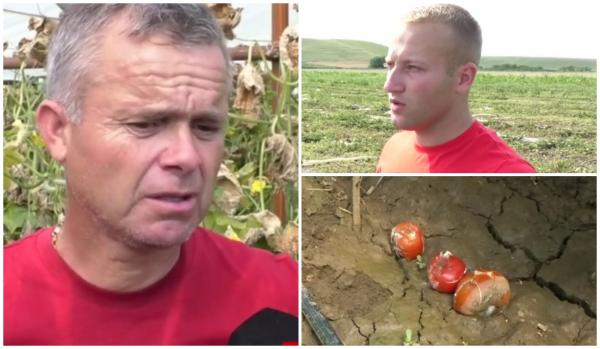 "Muncă investită degeaba!" În loc să-şi vândă legumele pe bani frumoşi, fermierii îşi pun mâinile-n cap: unii nu mai pot salva nimic după inundaţii