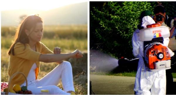 România, pe lista ţărilor cu grad mare de pericol din cauza ţânţarilor. O singură înţepătură poate fi mortală în unele cazuri: ce virusuri transmit