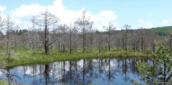 "Este un loc unic în lume". O rezervaţie din apropierea Lacului Sfânta Ana atrage turişti din toată lumea