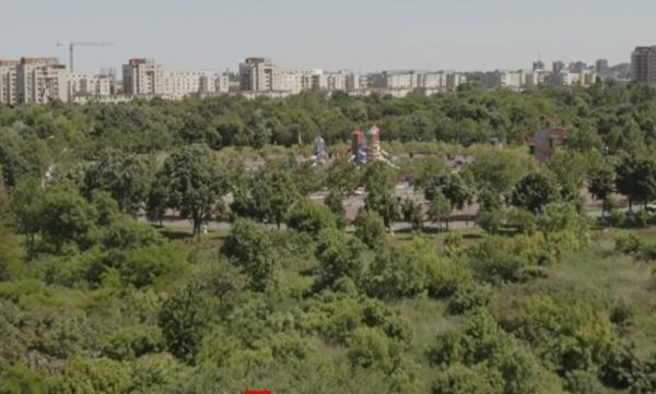 Modificarea legii spaţiilor verzi din marile oraşe. Dezvoltatorii ar pune mâna pe 80% din terenuri, voluntarii de mediu se opun