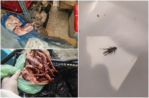 Restaurant din Costineşti, lăsat cu lacătul pe uşă după vizita ANPC. Inspectorii au găsit mizerie, gândaci şi alimente expirate