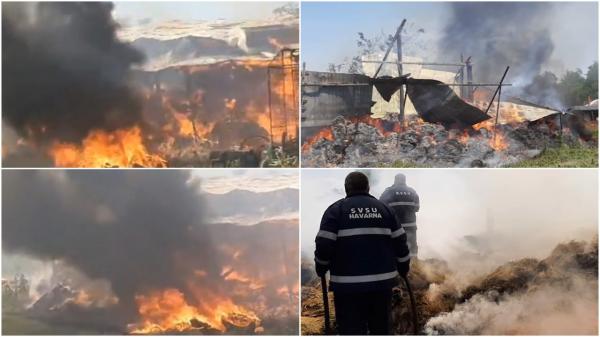 Incendiu de proporții într-o gospădorie din Botoşani. 80 de tone de furaje, mistuite de flăcări. Focul s-a văzut de la câţiva kilometri distanţă