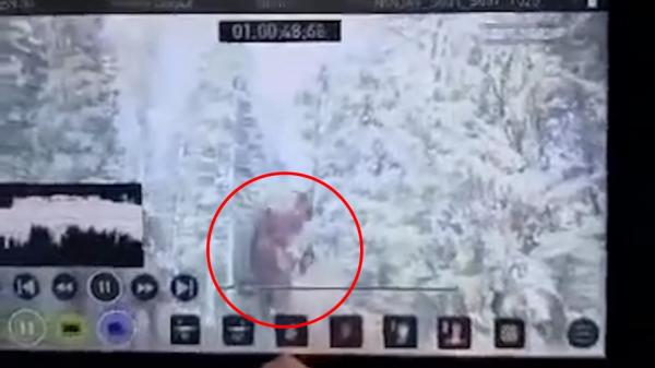 VIDEO. Un bărbat din Putna a murit strivit de propriul cal. Gheorghe Cenușă filma un videoclip în care ar fi fost implicată şi Ozana Barabancea