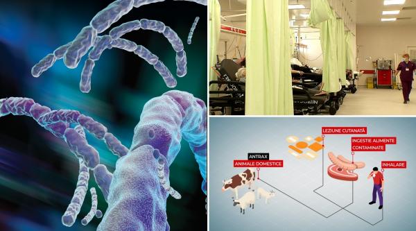 ANIMAȚIE. Cum ar fi luat antrax cei trei bărbați internați de urgență în Iași. Bacteria a fost folosită ca armă biologică în SUA, în 2001