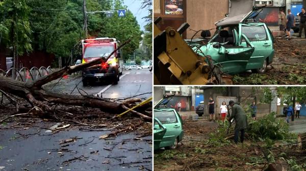 Coșmarul birocratic prin care trece o șoferiță din București, după ce un copac i-a făcut pagube de 18.000 de euro la mașină: "Vina se aruncă de la o parte la cealaltă"