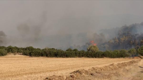 Corespondenţă Observator din Grecia: Un coşmar fără sfârşit pentru localnici și turiști. Totul arde în jur, iar afară e ca şi cum ai respira aerul dintr-un cuptor