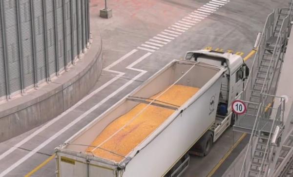 România și alte patru țări cer UE extinderea interdicției la exporturile de cereale din Ucraina