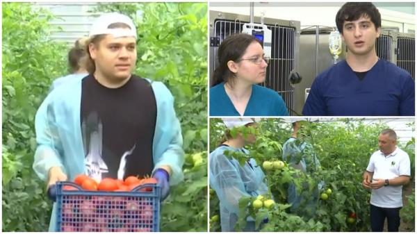 Studenții care aleg să facă un internship plătit pe timpul verii. Profesorii spun că 80% dintre ei își găsesc de muncă în domeniu după absolvire