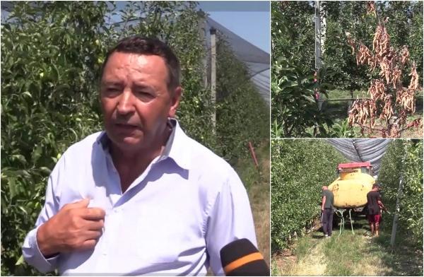 Fermierii privesc înlăcrimaţi cum îşi pierd investiţiile de milioane de euro. Un sistem de irigaţii nefuncţional le distruge livezile