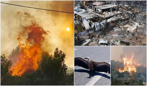 Grecia trece prin foc de aproape o săptămână, iar vâlvătaia mistuie tot în cale. Bătălia cea mai grea se dă în continuare în Rodos