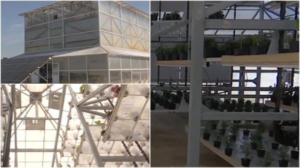 Proiect revoluţionar de un 1 milion de lei în Buzău. Invenţia care ar putea ajunge şi în curţile fermierilor "promite" un profit de 5 ori mai mare