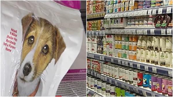 Guvernul vrea să majoreze TVA-ul la 19% pentru mâncarea animalelor de companie. Cât ar trebui să cheltuiască stăpânii pentru hrana pe o lună