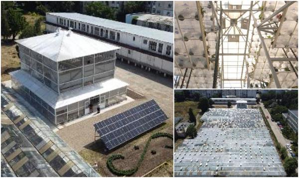 Proiect revoluţionar la Buzău, finalizat după zeci de ani de încercări. A fost construită o seră verticală, prima de această dimensiune din România 