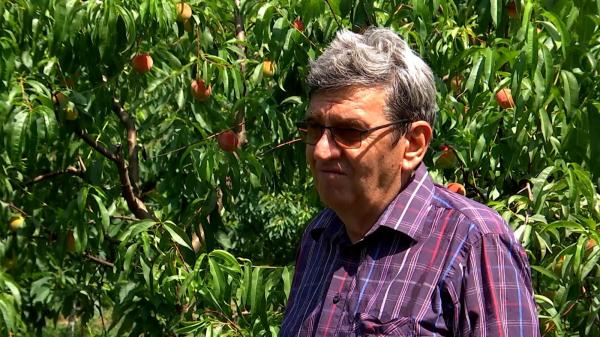 Soiurile pe care le are Ioan Craiu în grădină, după schimbările climatice: "Ăsta este viitorul"