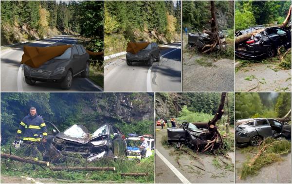 ANIMAŢIE. Femeie strivită în maşină de un brad, smuls de vânt din rădăcină. Soţul aflat la volan încerca să întoarcă maşina, pe Transalpina