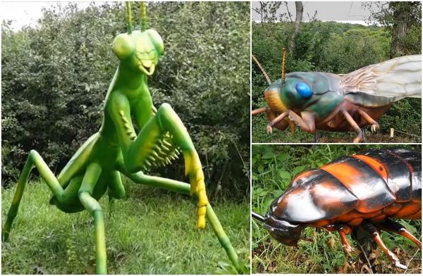 Parcul unic în România, unde se găsesc 20 de insecte gigant. Turiştii au făcut coadă încă din ziua deschiderii: "Nu am mai văzut, extraordinar"
