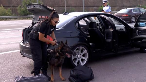 România, pe drumuri. Coloane de maşini uriaşe, de 5 km, pe Transfăgărăşan şi pe DN1. Aglomeraţie e şi pe Autostrada Soarelui, unde poliţia face controale