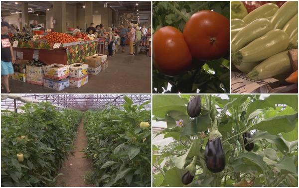 Specialiştii dezvăluie adevărul din spatele reducerilor de 50% anunţate de Guvern. Comparaţia preţurilor nu a fost făcută cu ultima lună, iulie