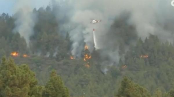 Focul a pus stăpânire şi pe insula Tenerife. Zeci de elicoptere se luptă să stingă incendiile de vegetaţie, iar mii de localnici au fost deja evacuaţi
