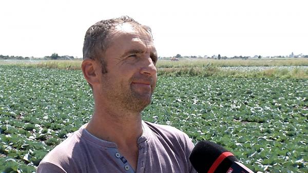 Leguma care îi poate îmbogăţi pe fermieri în acest an. "Părinţii m-au lăsat pe agricultură. Iubesc ceea ce fac"