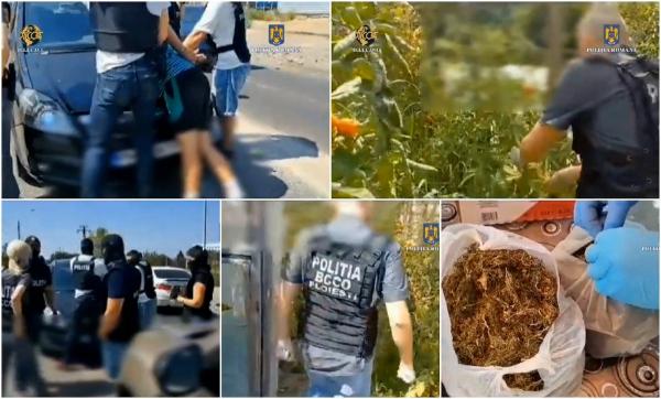 Dealer din Prahova, prins în timp ce încerca să vândă 3 kilograme de droguri. Tânărul de 28 de ani avea o întreagă afacere cu un membru al familiei