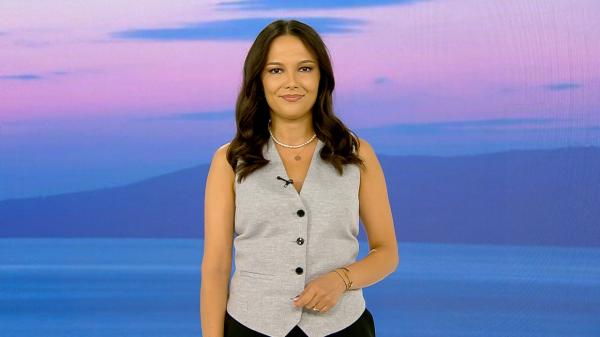 Observator de bine, 31 august 2023. Şoferii ar putea plăti poliţe RCA la preţuri plafonate până la anul