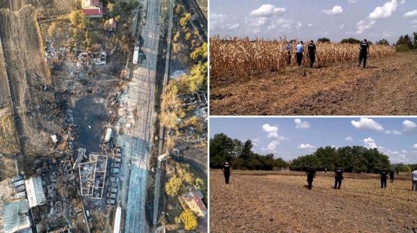 Peste 100 de jandarmi trimiși în lanurile de porumb și pe câmpurile de lângă Crevedia. Ce speră criminaliștii români să găsească