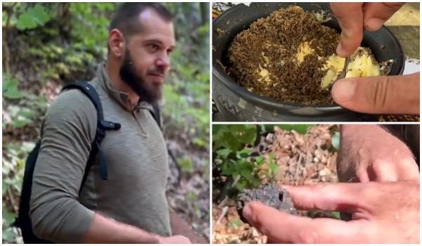 A început sezonul "diamantelor negre" în pădurile din România. Un kilogram ajunge să se vândă şi cu 1.000 de lei