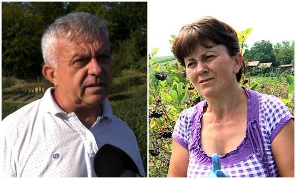 "Regina fructelor" cu care Nelu a dat lovitura. Afacerea le-a adus multora succes: "Am vrut să facem un ban aici, să nu mă mai duc în străinătate"