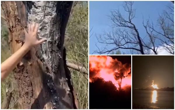 Dezastru în locul unde a căzut drona Shahed în România. Pe o rază de 30-40 de metri niciun copac nu mai are coroană