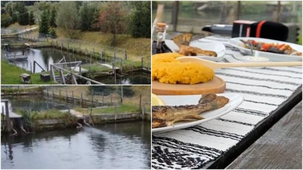 Preparatul cu care Bucovina își atrage turiștii în fiecare toamna. O porție făcută după rețetele tradiționale ajunge la 65 de lei