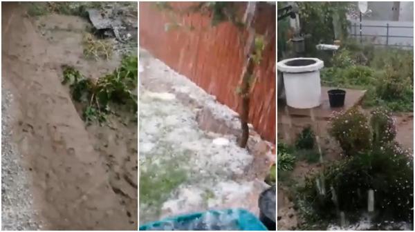 O ploaie torenţială, de câteva zeci de minute, a făcut prăpăd la Albești, în Vaslui. Oamenii au privit neputincioși cum grindina le distruge culturile