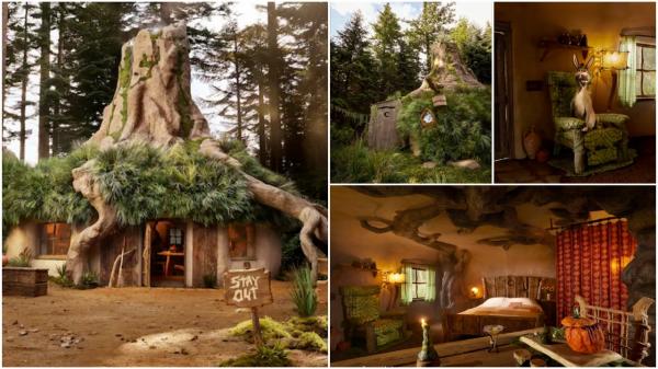 Fanii lui Shrek pot petrece un weekend de vis în casa faimosului căpcăun. Experienţă unică pusă la bătaie de Airbnb, în Scoţia