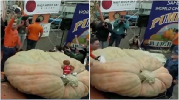 Suma colosală investită de un profesor de horticultura din SUA într-un dovleac. A stabilit un nou record mondial. Leguma cântărește 1247 de kilograme