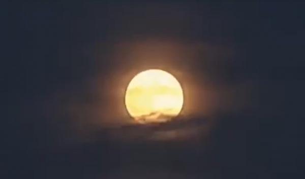 Luna a oferit un spectacol unic pe cer. Eclipsa parţială a fost vizibilă şi din România: "Se produc în fiecare an, dar nu toate se văd din grădină"