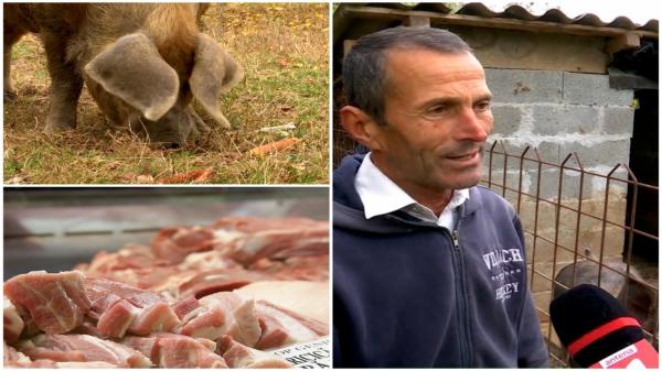 Cu cât îşi vând românii porcii pe Facebook. "Ăsta e vietnamez, mai mult pentru fiţe"