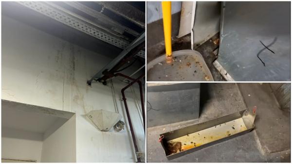 Gândaci, rozătoare moarte și pânză de păianjen la un cunoscut mall din București. Amezi de 300.000 de lei