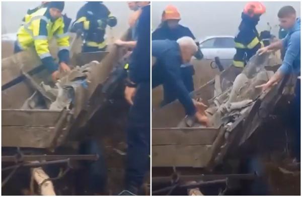 Bărbat de 39 de ani din Botoşani, mort după ce a fost strivit de o căruţă. Un localnic a descoperit tragedia şi a chemat ajutoare