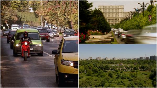 București, capitala europeană cu cei mai puţini arbori. Soluția gândită de specialiştii de mediu pentru poluarea provocată de mașini