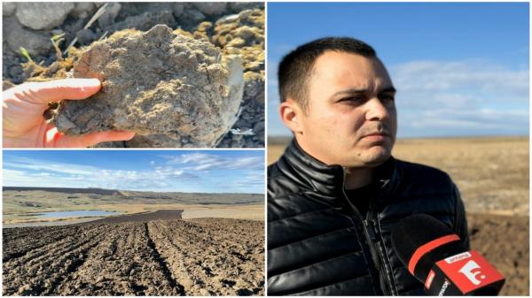 Culturile de grâu, compromise de secetă. Fermierii se plâng că nu pot ara terenurile: "N-avem nicio şansă"