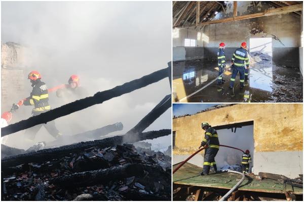 O hală dezafectată din Satu Mare a fost mistuită de flăcări. Peste 20 de pompieri au luptat să stingă vâlvătaia