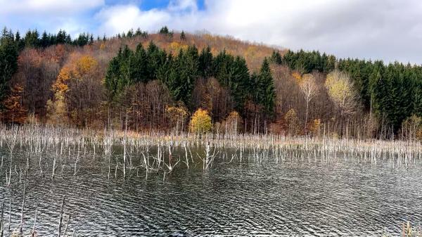 O poveste fără filtre. Lacul Cuejdel, decorul perfect pentru şedinţe foto reuşite