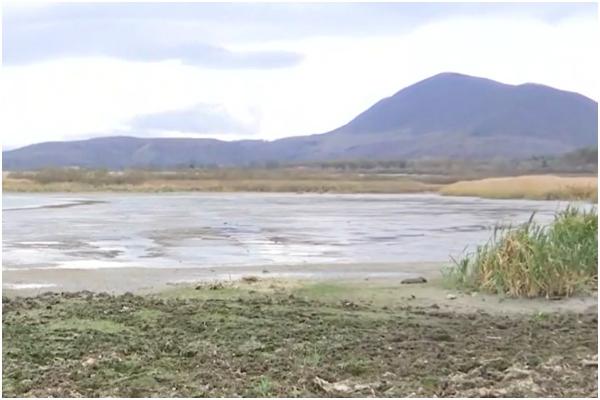 O rezervaţie naturală din inima Carpaţilor va renaşte după ce a fost distrusă de secetă. Cum vor reînvia autorităţile acest colţ de rai