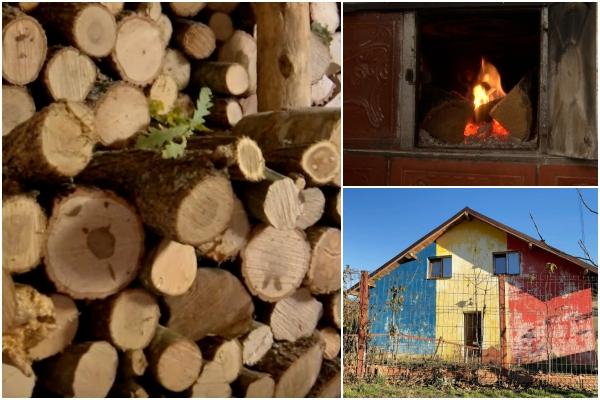 Ministerul Energiei le cere românilor cu posibilităţi să doneze bani de lemne pentru familiile sărace: "Să se gândească la cei nevoiaşi"