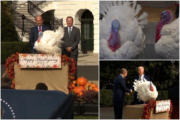 Joe Biden a cruţat viaţa a doi curcani, cu ocazia celor 81 de ani împliniţi. Liberty şi Bell au fost cazaţi într-un hotel de lux