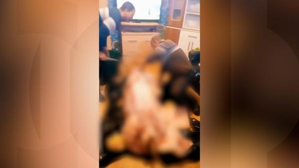 "L-au tăiat când stătea porcul liniștit și se uita la serialul lui favorit". O familie de români a tranșat porcul în sufragerie, printre canapele și fotolii