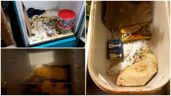 Restaurante care își așteptau clienții cu alimente expirate şi gândaci, amendate de ANPC. "Eu am numit-o nesimţire comercială"