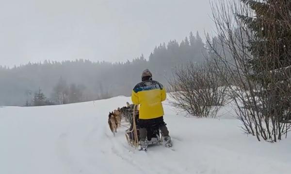 Plimbarea cu săniile trase de câini Husky, atracţia principală pentru turiştii care îşi petrec sărbătorile în Harghita-Băi: "O experienţă minunată, ceva unic"