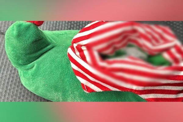 Ce ascundea un tânăr de 19 ani într-o pereche de papuci de casă de Crăciun, la vamă. Ar putea sta o lună în arest